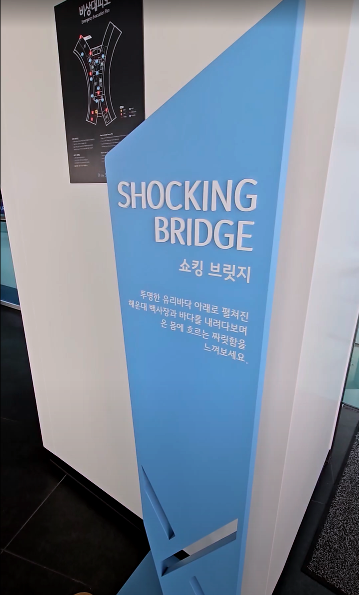 Fun Things to do in Busan